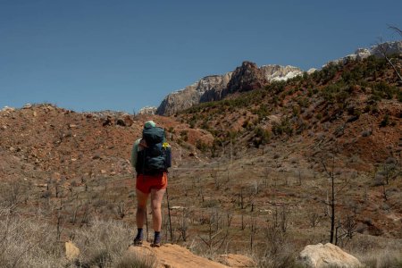 Hiker Looks Out Over Barren Land In Zion National Park