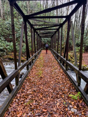 Woman Hikes Across a Trestle Bridge in the Smokies in late fall