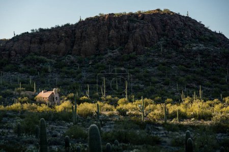 Foto de Todos los Credos Capilla se destaca en el centro de atención rodeado por Saguaro Cactus al atardecer - Imagen libre de derechos