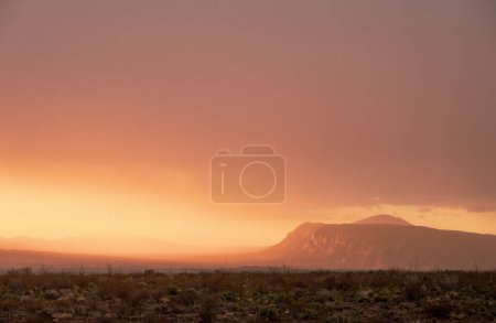 Téléchargez les photos : Big Bend désert couvert de brouillard avec l'espace de copie ci-dessus à l'aube - en image libre de droit