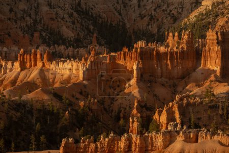 Photo for Light Brightens Layers of Hoodoos in Bryce Canyon Amphitheater - Royalty Free Image