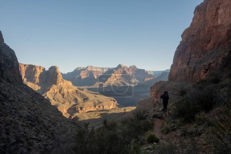 Hiker Climbs Up The Steep Trail To The Top of Whites Butte in the Grand Canyon