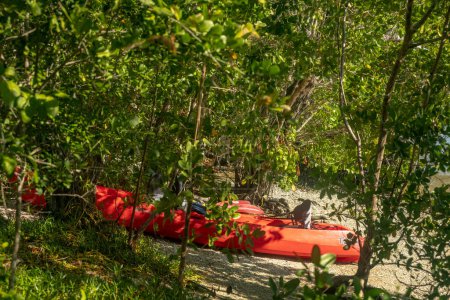 Foto de Red Sit On Top Kayak se sienta en la pequeña playa boscosa en el Parque Nacional Everglades - Imagen libre de derechos