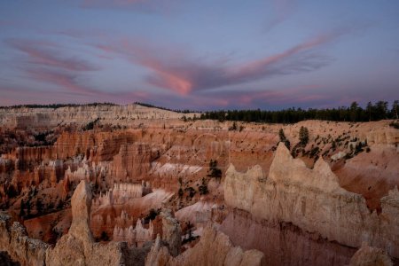 Téléchargez les photos : Les nuages roses forment une forme d'oiseau montante au-dessus du canyon Bryce - en image libre de droit