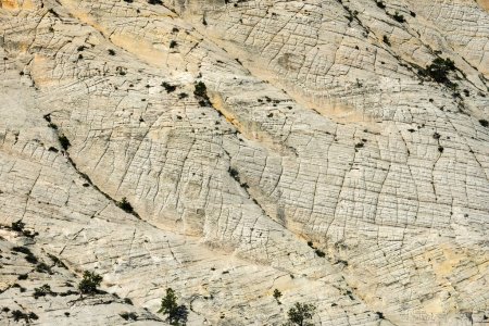 Northgate Peaks Wrinkled Texture on Side of Mountain