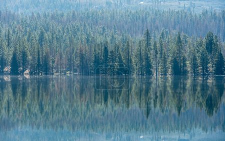 Foto de Bosque de pino se refleja en el lago Snag en el Parque Nacional Volcánico de Lassen - Imagen libre de derechos