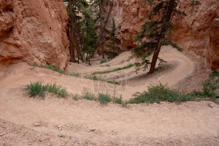 Los switchbacks empaquetados conforman el camino a los Hoodoos de Bryce Canyon
