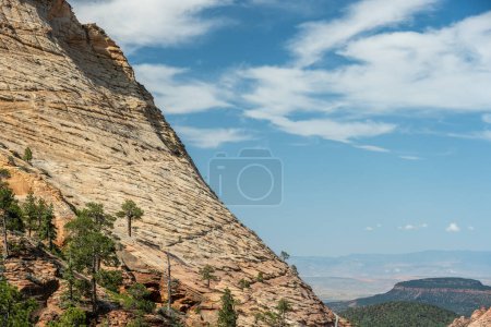 Treeline Side Profile View Of Northgate Peaks In Zion National Park