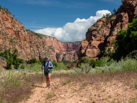Woman Hikes Through Sandy Trail in Hop Valley in Zion