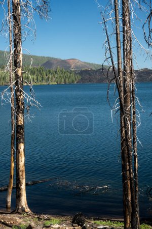 Foto de Cono de Ceniza se encuentra en la distancia del lago Snag en el volcán Lassen - Imagen libre de derechos
