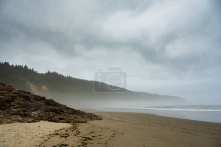 Nebel bedeckt die Küste von Cape Lookout entlang der Küste von Oregon