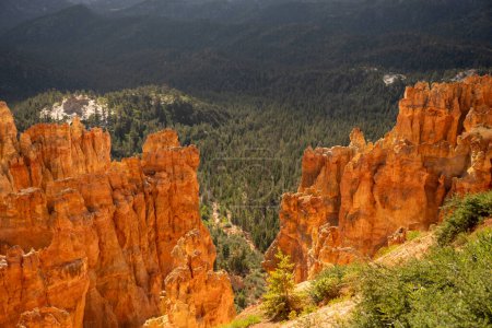 Orange Rocks Glow with Morning Light in Bryce Canyon