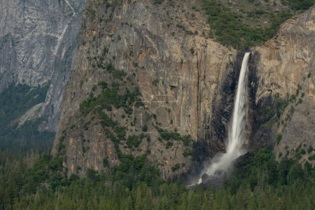 Bosque de pino crece verde desde el agua de las cascadas nupciales en el Parque Nacional Yosemite