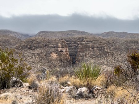 Short Canyon Toward The Sierra Del Caballo Muerto Along Strawhouse Trail In Big Bend National Park