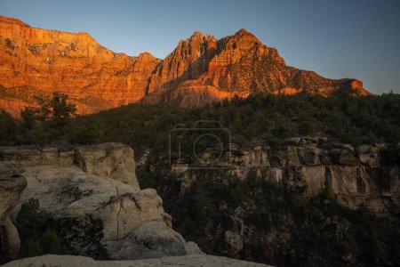 Shadows Fill Scoggins Wash Below The Glowing Mount Kinesava In Zion National Park