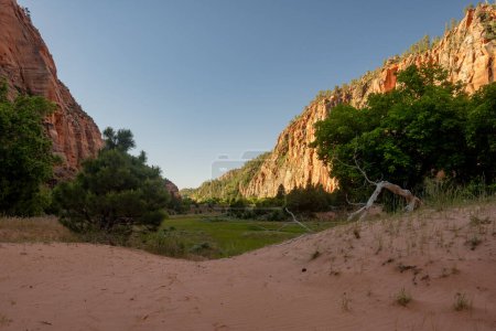 Sand Dune Rolls Into Grassy Meadow In Hop Valley in Zion