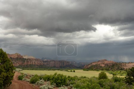 Summer Rain Drops over Field and Mountains of Zion National Park
