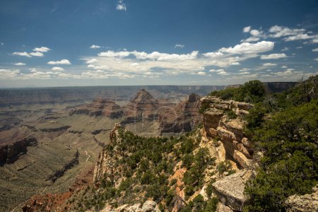 Le côté vert du Grand Canyon le long du bord nord