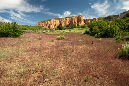 Der obere Kolob Mesa erhebt sich über dem Hopfental im Zion Nationalpark