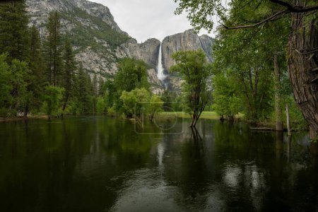 Yosemite Valley Flooded  With Upper Yosemite Falls In The Distance
