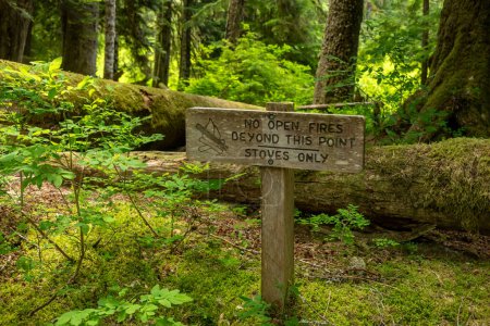 Campsite Sign Indicates Fires are Not Allowed in the Area in Olympic National Park