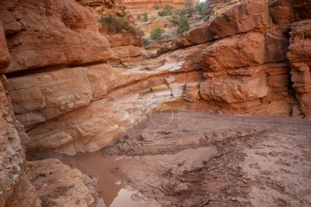 Mud Fills The Pool Below Recently Dry Fall Along Sulfur Creek in Capitol Reef National Park