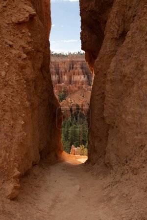 Shadowy Path Between Two Hoodoos Give A Glimse Of The Amphitheater in Bryce