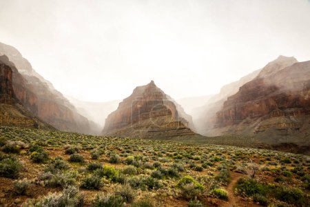 Photo for Snow Storm Gathers Over Vesta Temple In Grand Canyon National Park - Royalty Free Image
