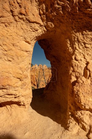 Tunnel Through Orange Rock And Dirt Of Hoodoos in Bryce Canyon