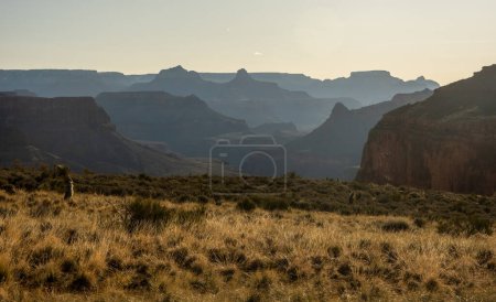 Blick nach Osten vom White Butte im Grand Canyon