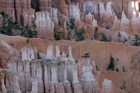 White and Orange Layers in Hoodoos in Bryce Canyon Amphitheater