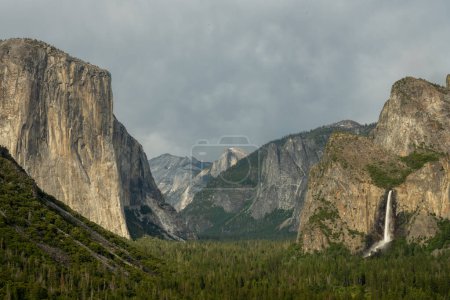 Bridalveil cae con agua en el valle de Yosemite en verano
