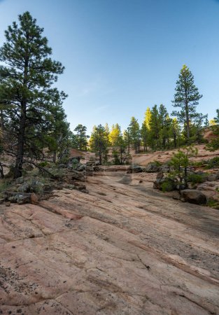 Conector Trail cruza la cara de roca abierta en el Parque Nacional de Zion