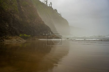 Dunkle Klippen spiegeln sich im nassen Sand des Cape Lookout an der Küste von Oregon