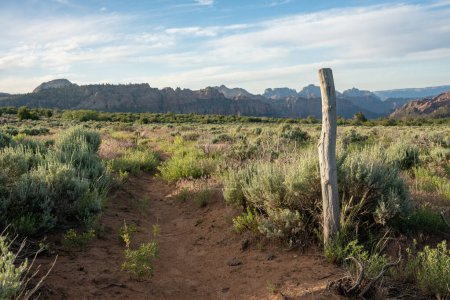 Poteau de clôture stand seul dans le désert le long du sentier sablonneux dans le parc national de Zion