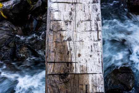 Mirando hacia abajo en el punto húmedo de un puente de troncos sobre Van Trump Creek en el Parque Nacional Mount Rainier