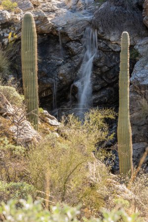 Small Waterfall In The Rincon Mountains of Saguaro National Park