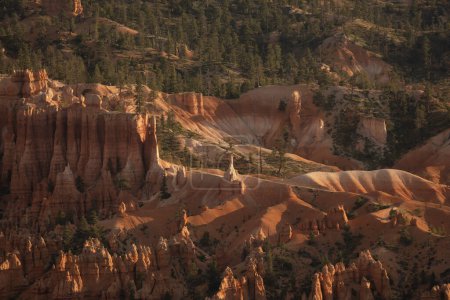 Trail Winds Around Hoodoos And Cross The Amphitheater In Bryce
