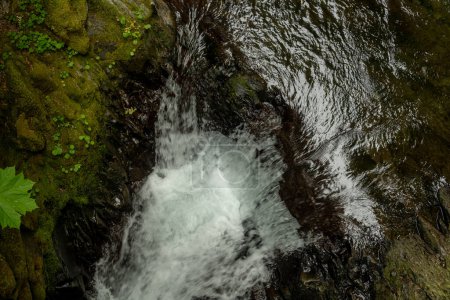 Canyon Creek Drops Over Small Cliff In Olympic National Park