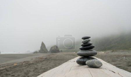 Stack of Gray Stones on Smooth Driftwood along the California Coastal Trail