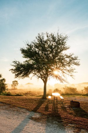 Sun Burst Through Tree Over Campsite In The Everglades at dawn