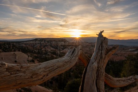 Téléchargez les photos : Coup de soleil à travers les nuages sur Mesa derrière Bryce et bûches séchées - en image libre de droit