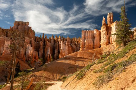 Photo for Sunlight and Shadows Across Hoodoos in Bryce Canyon - Royalty Free Image