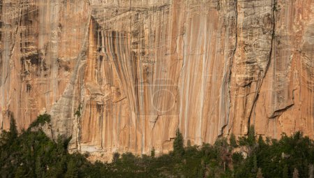 Vertikale Texturlinien an der großen Mauer am Nordrand des Grand Canyon Nationalparks