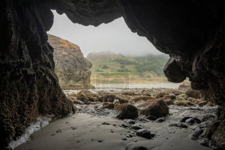 Blick von der Sea Cave auf neblige Hügel am Meyers Beach in Oregon bei Ebbe