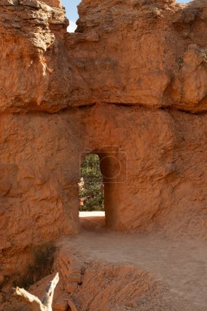 Trail führt durch dicken orangen Tunnel im Bryce Canyon