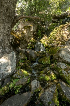 Agua en Tiltill Creek cae sobre rocas en Hetch Hetchy en Yosemite