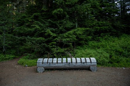 Fahrradständer und Sitzbank-Kombination am Trailhead im Mount Rainier Nationalpark