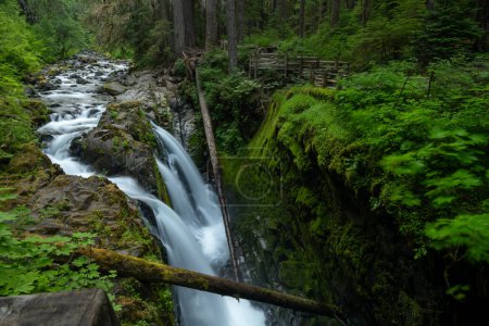 Long Exposure of Sol Duc Falls and Viewing Area in Olympic National Park