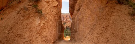 Panorama Of Orange Cliffs Parting With A Pathway Between in Bryce Canyon National Park
